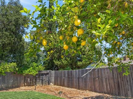 4312 Vista De Lago Way, Fair Oaks, CA 95628 Photo