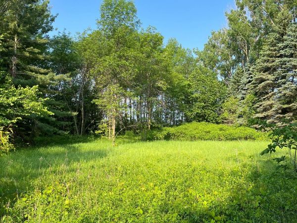 TBD Wild Rose Trail , Frazee, MN 56544