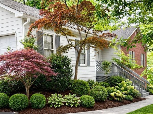 5580 Dusty Ridge Trail, Buford, GA 30518