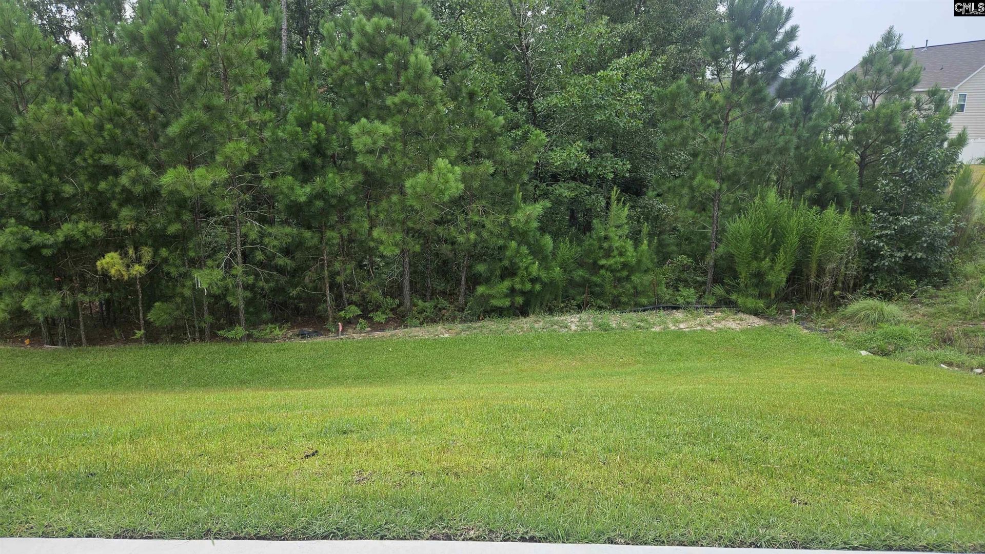 400 Snail Lane Photo 6