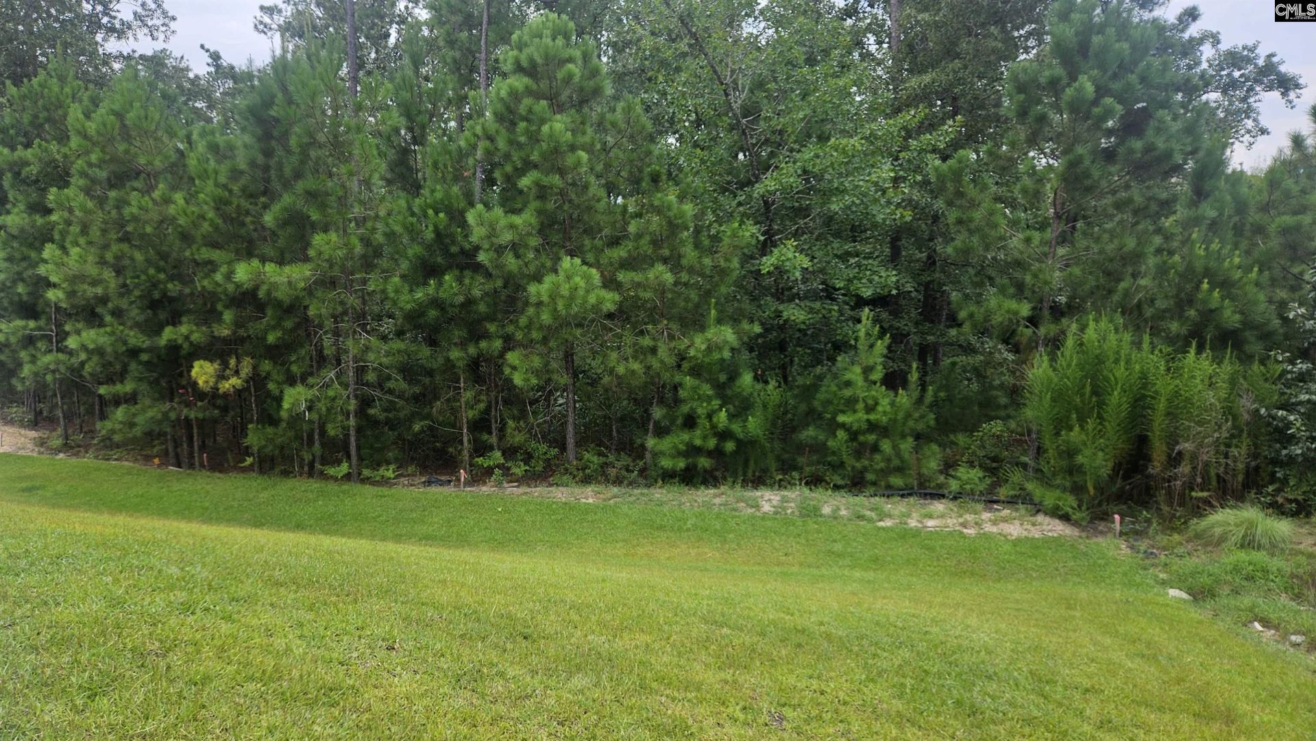 400 Snail Lane Photo 7