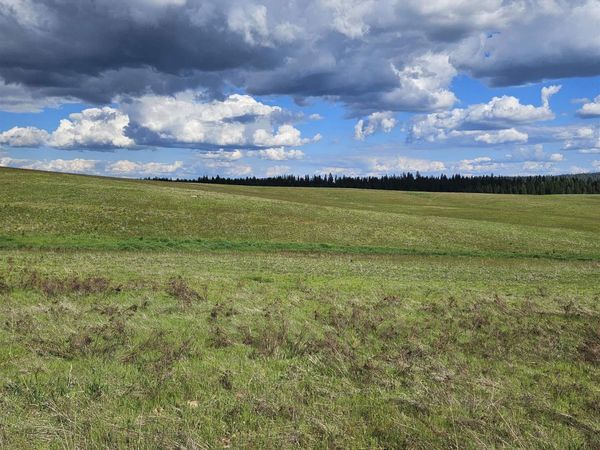 52XX Wagner Lot A Rd, Springdale, WA 99173