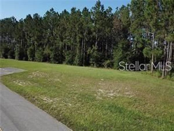 LAKE SMITH ROAD , UMATILLA, FL 32784