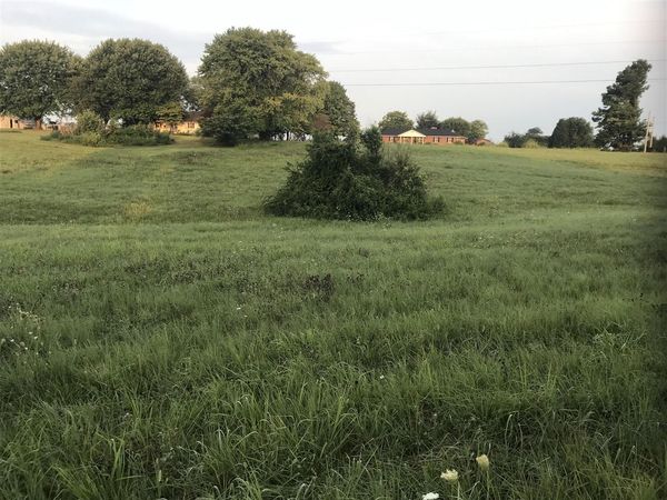 Lot 1-1 Martinsville Road , Oakland, KY 42159