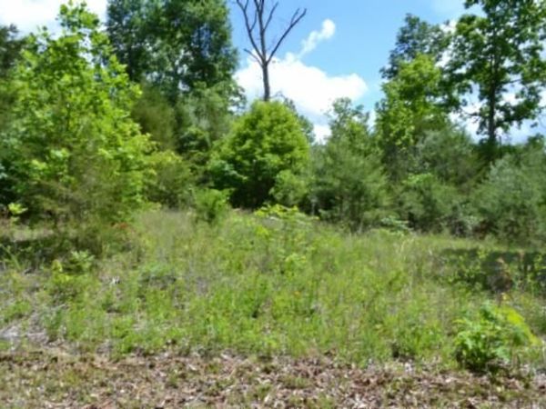 31.22ac Beauchamp Rd, Burkesville, KY 42717