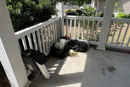 225 Fernview Drive  photo 4