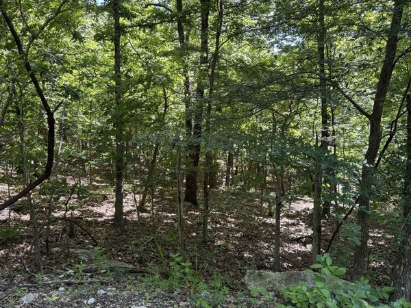 TBD Spokane Drive , Cherokee Village, AR 72529