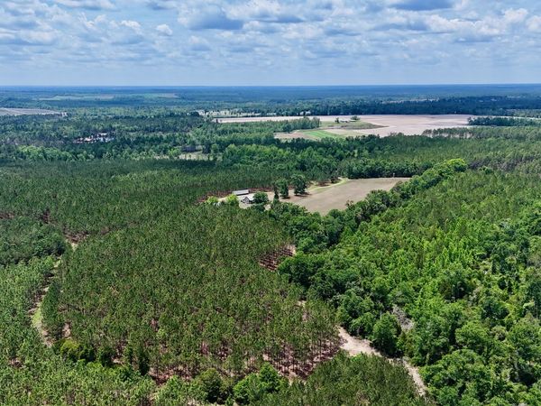 0 Neily Wagon Road, Mc Rae Helena, GA 31055