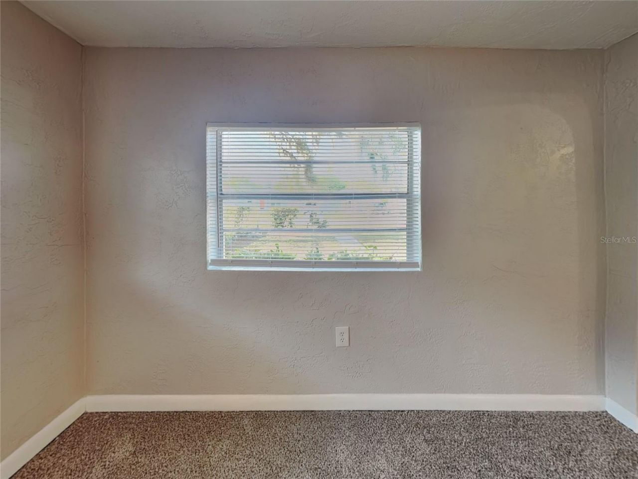 704 Butler Street, Safety Harbor, FL 34695 Photo