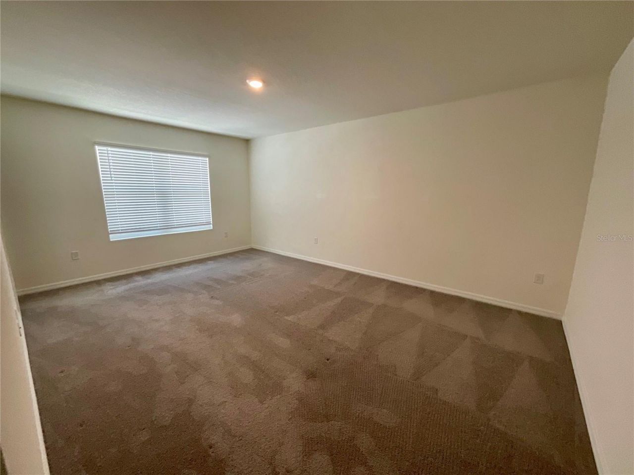 33409 Field Maple Loop, Wesley Chapel, FL 33545 Photo