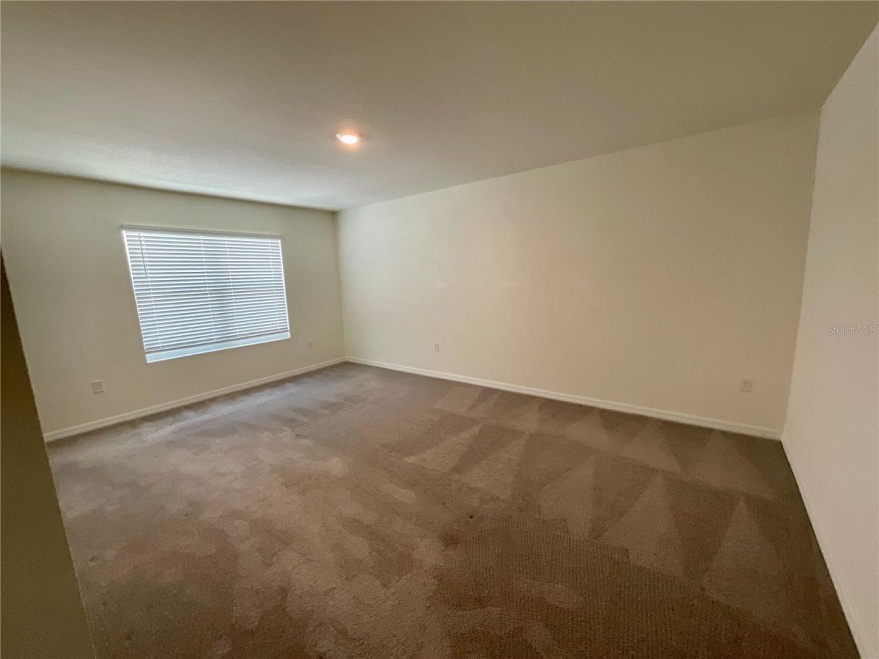 33409 Field Maple Loop, Wesley Chapel, FL 33545 Photo