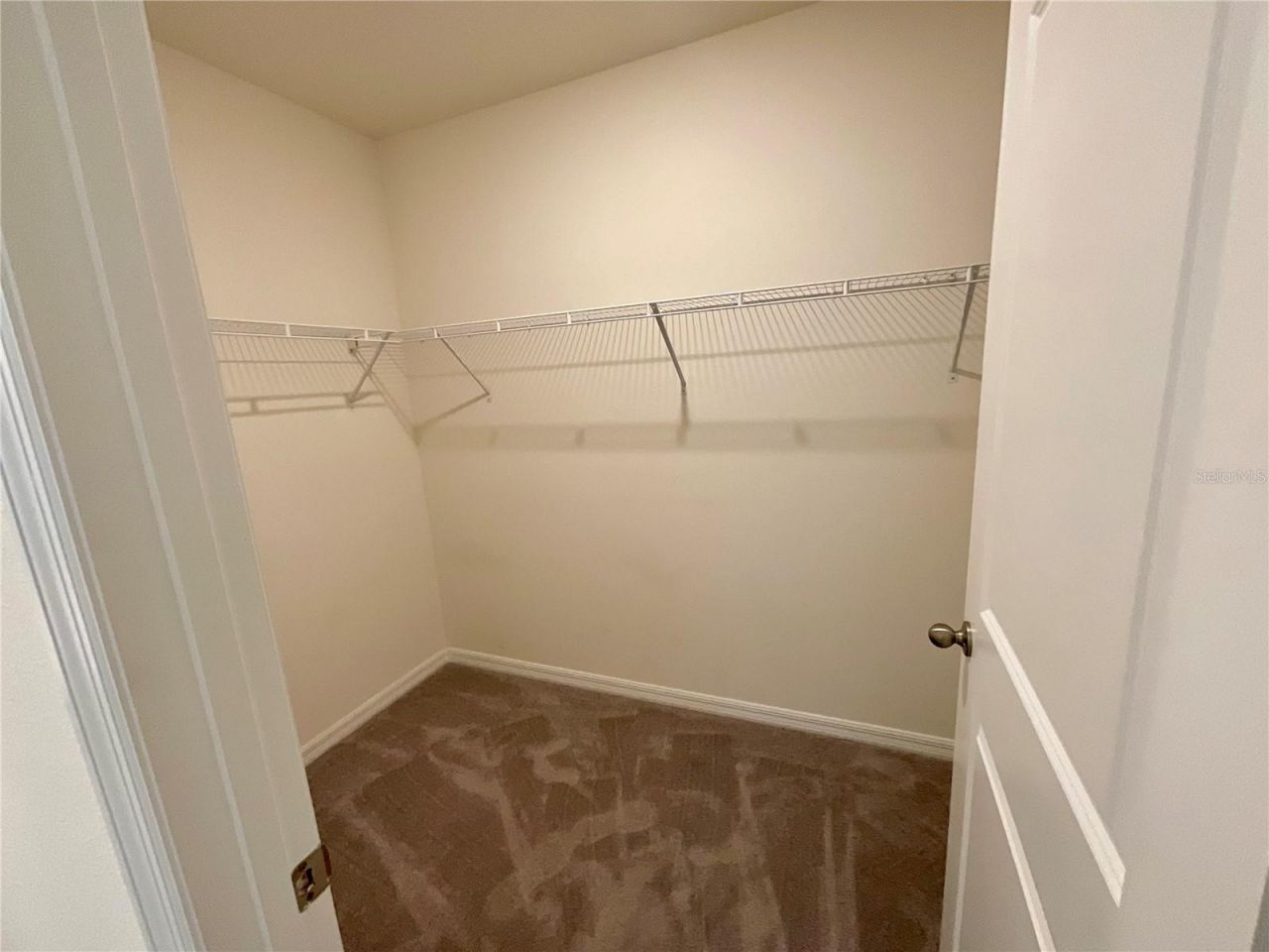 33409 Field Maple Loop, Wesley Chapel, FL 33545 Photo