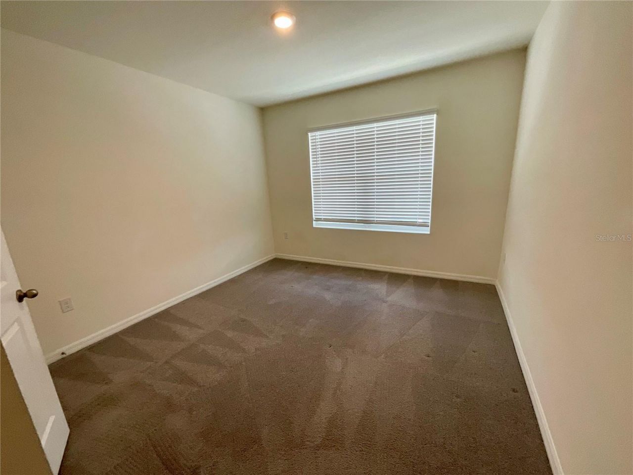 33409 Field Maple Loop, Wesley Chapel, FL 33545 Photo