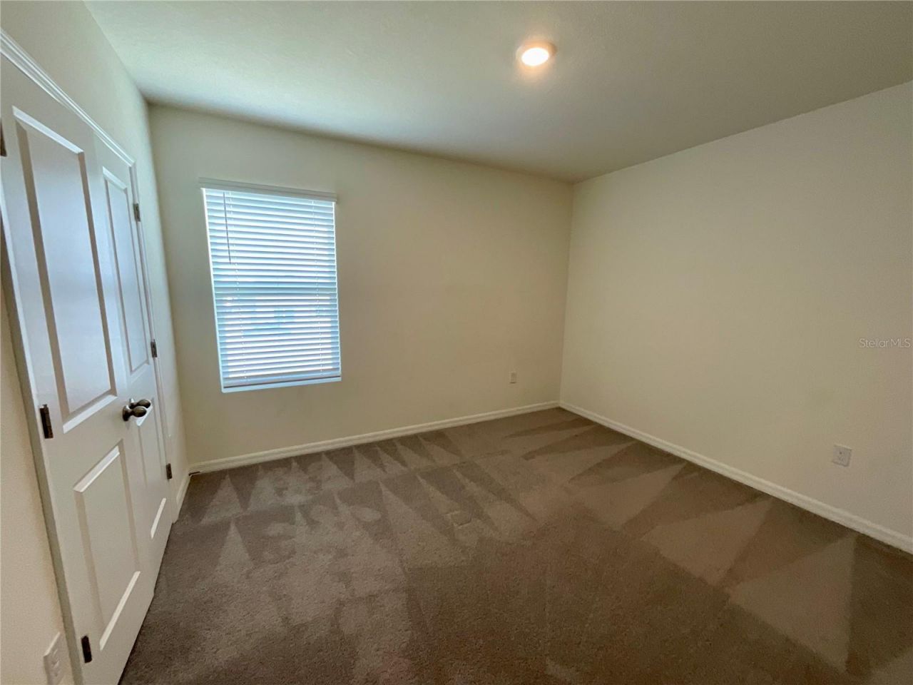 33409 Field Maple Loop, Wesley Chapel, FL 33545 Photo