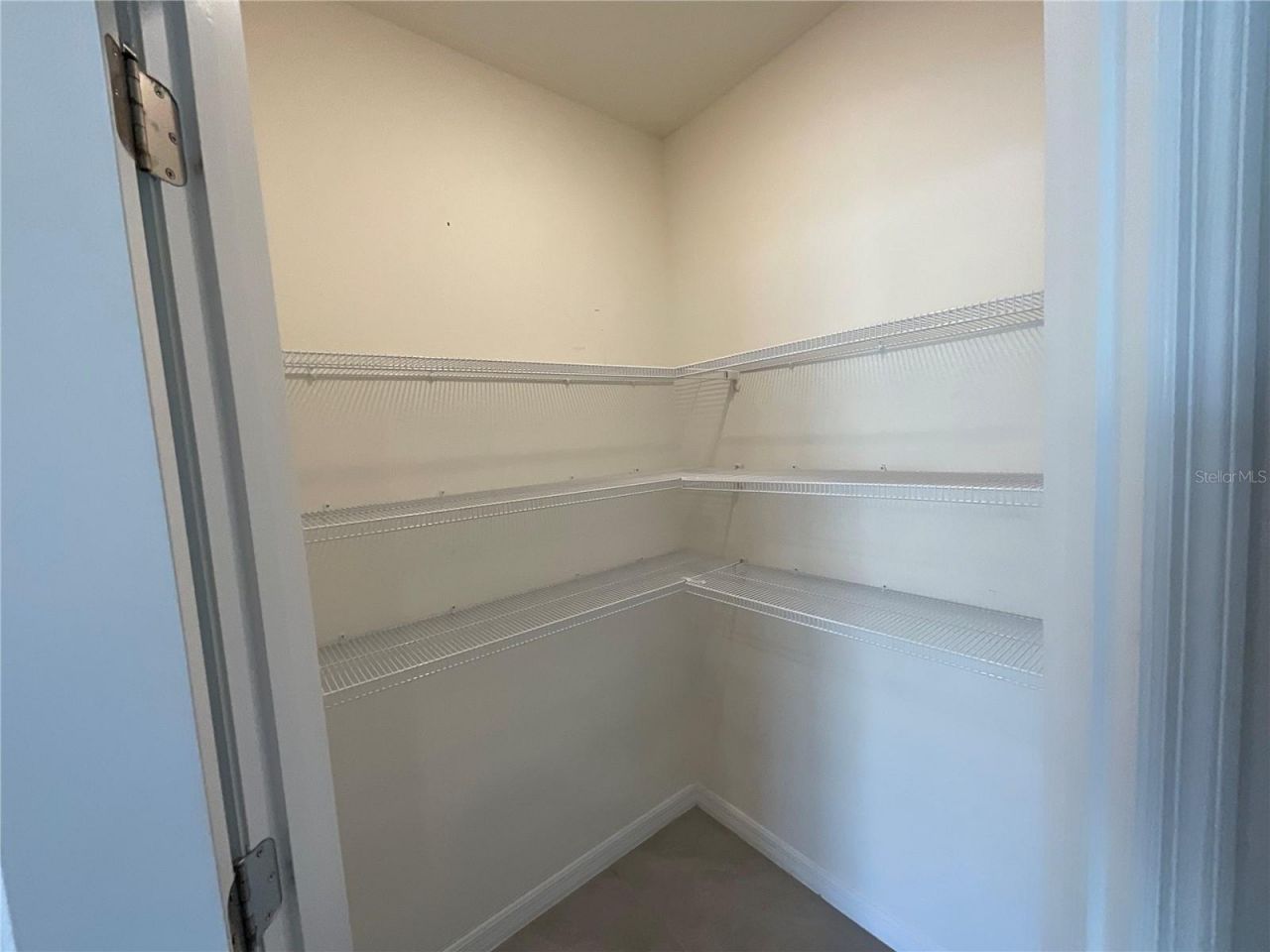 33409 Field Maple Loop, Wesley Chapel, FL 33545 Photo
