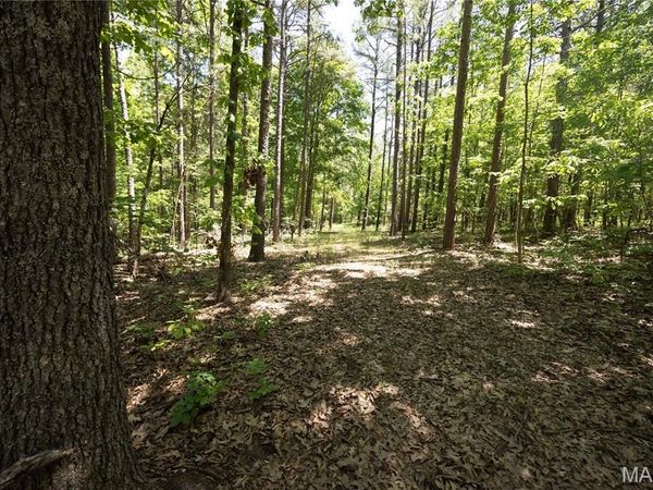 Tract 4 BCR 930 , Patton, MO 63662