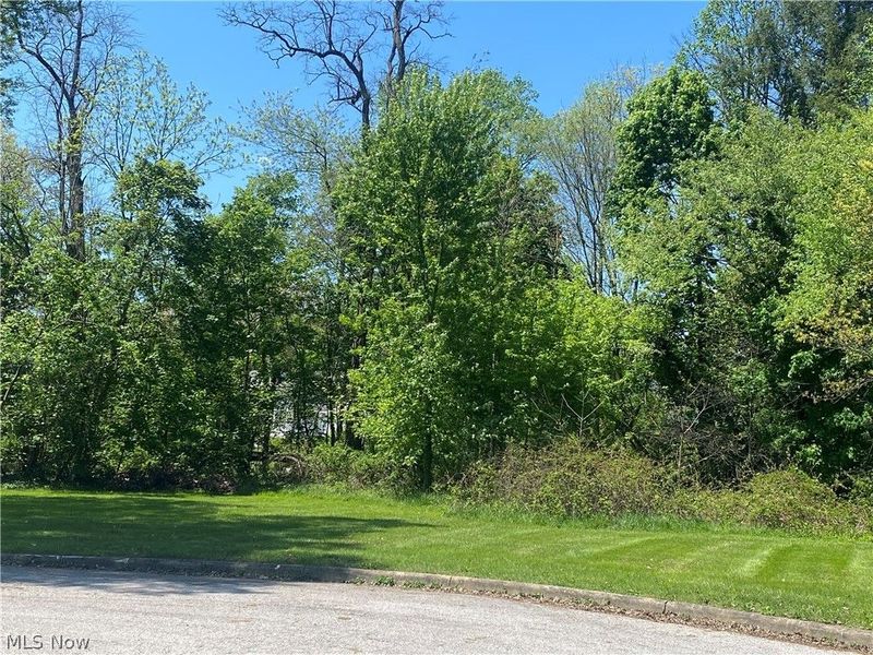 Homewood Place, Salem, OH 44460 Photo 1