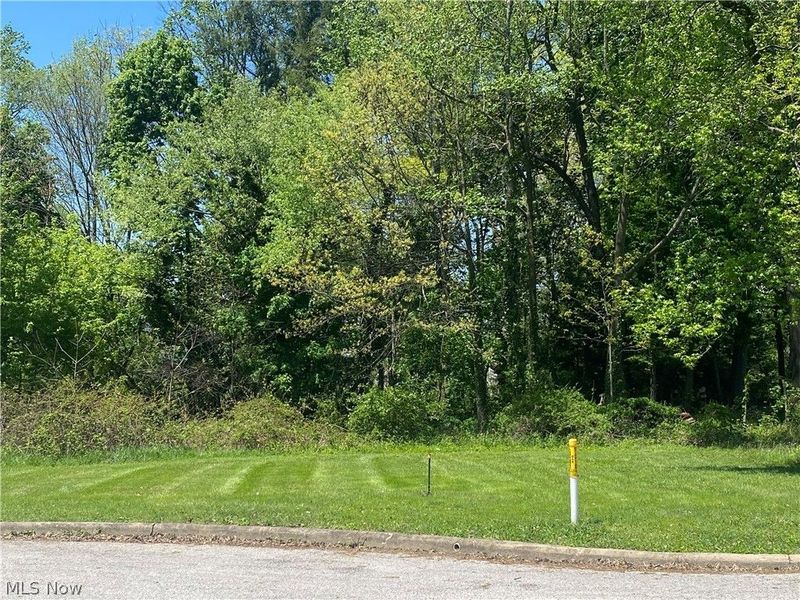 Homewood Place, Salem, OH 44460 Photo 2