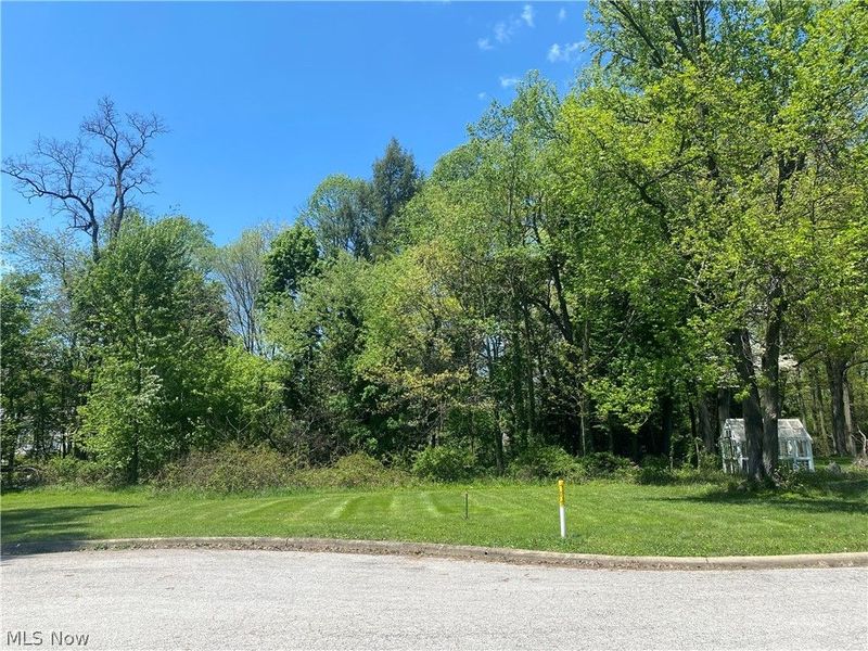 Homewood Place, Salem, OH 44460 Photo 3