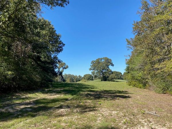TBD 006 County Road 242 , Oakwood, TX 75855