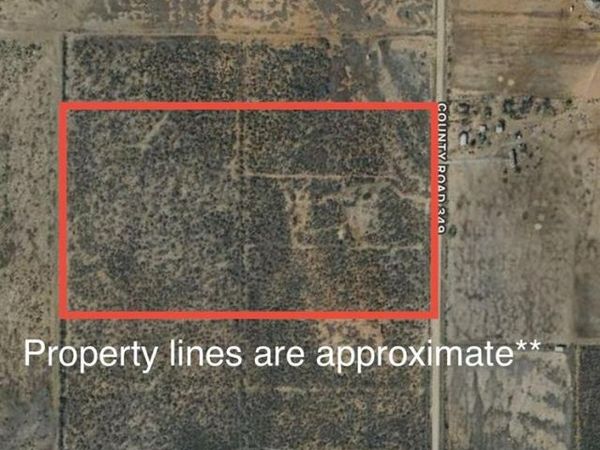 3689 County Road 349 , Charlotte, TX 78011