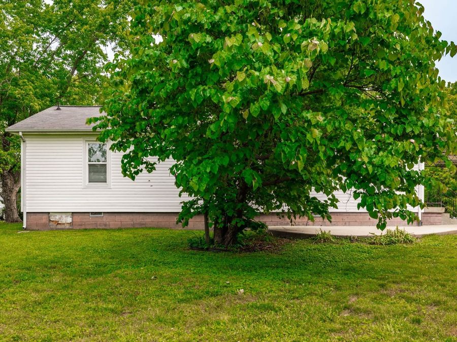Property Image 61