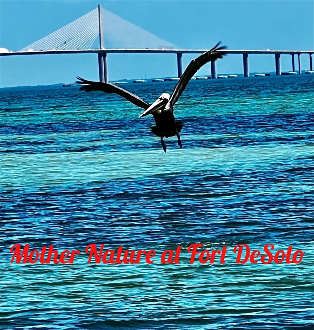 120 9th Street E, Tierra Verde, FL 33715 Photo