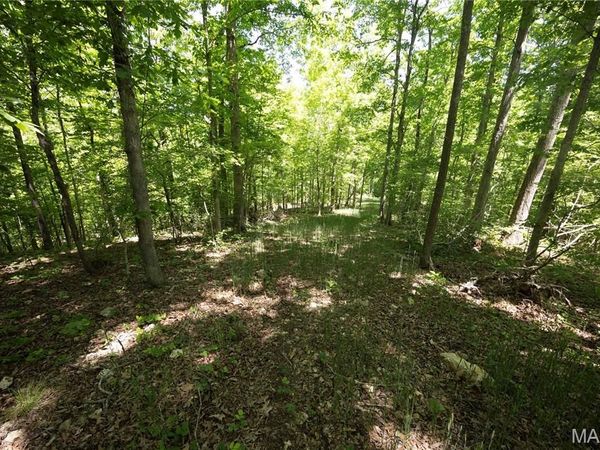 Tract 5 BCR 930 , Patton, MO 63662