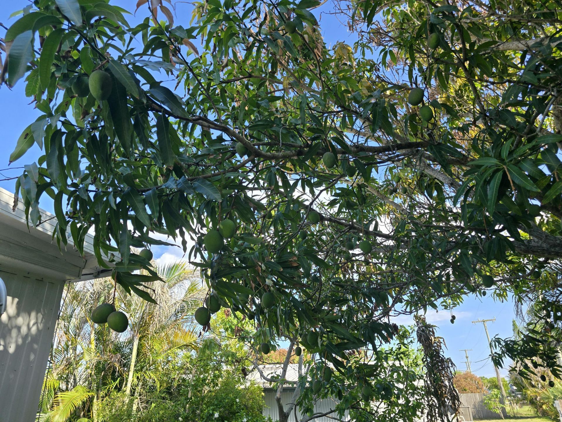 8122 SE Skylark Avenue, Hobe Sound, FL 33455 Photo