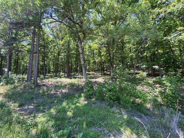 215 Watersedge Drive , Edgemont, AR 72044