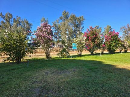 11861 Clay Station Rd, Herald, CA 95638 Photo