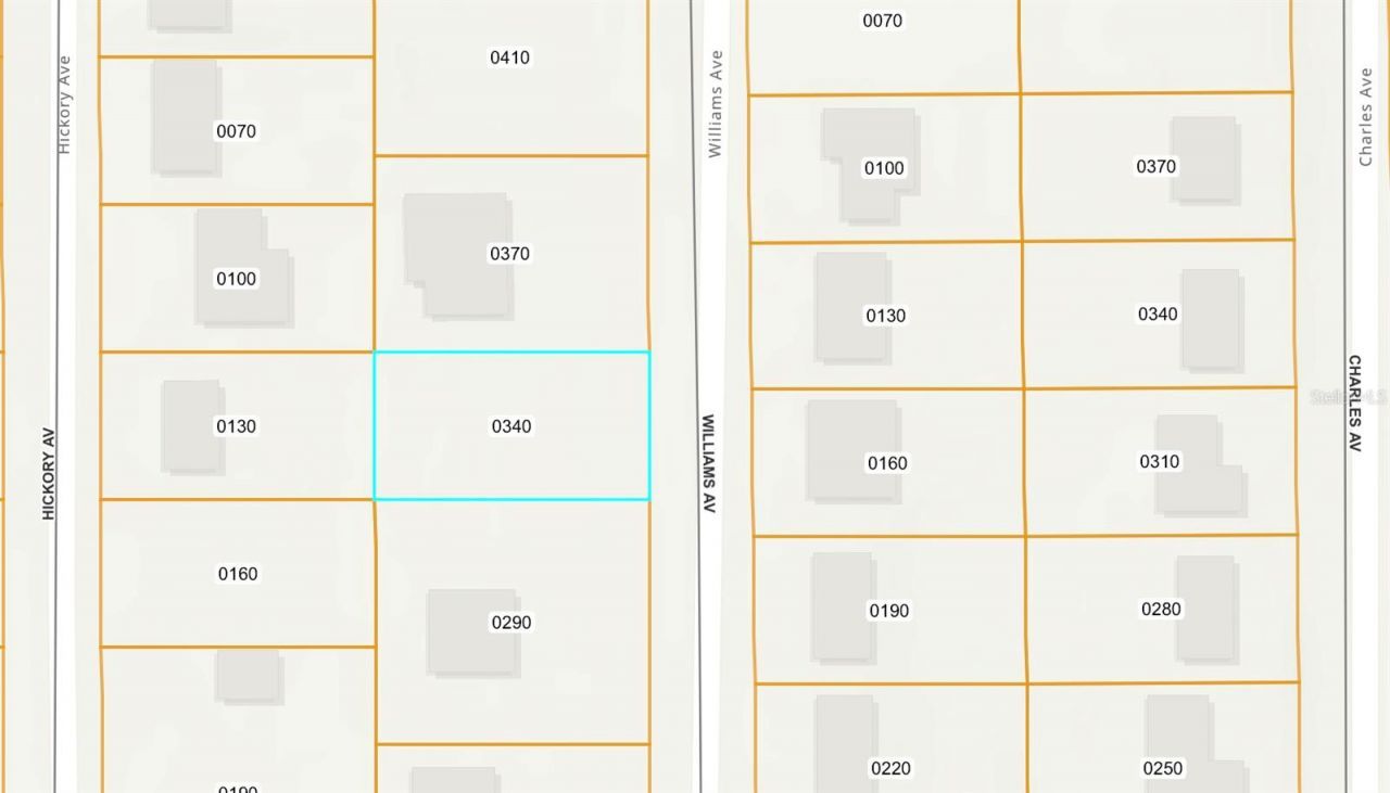 250 Williams Avenue, Orange City, FL 32763 Photo