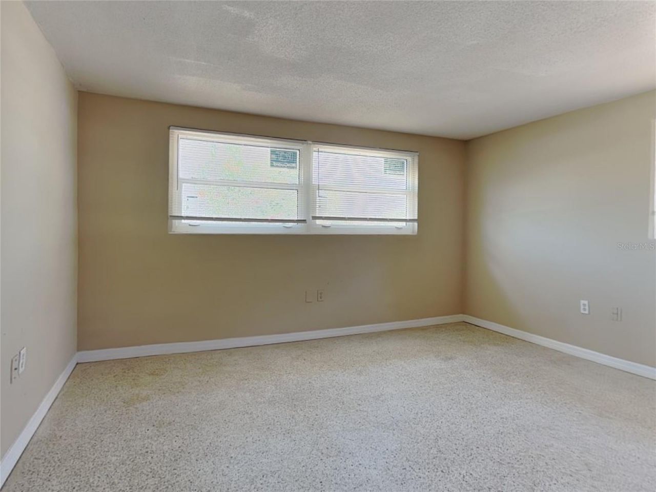 10632 Laburnum Drive, Port Richey, FL 34668 Photo