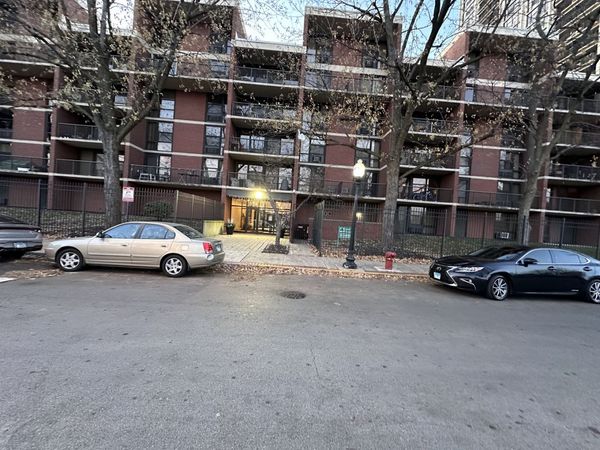 3021 S Michigan Avenue, Unit 311, Chicago, IL 60616