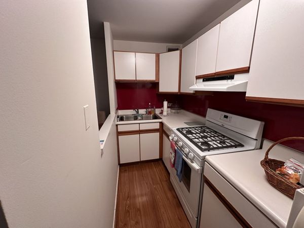 3021 S Michigan Avenue , Unit 311, Chicago, IL 60616