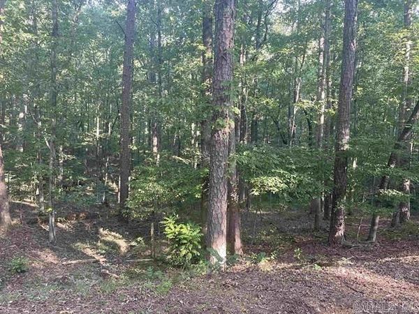 Lot 29 Carballo Lane , Hot Springs Village, AR 71909