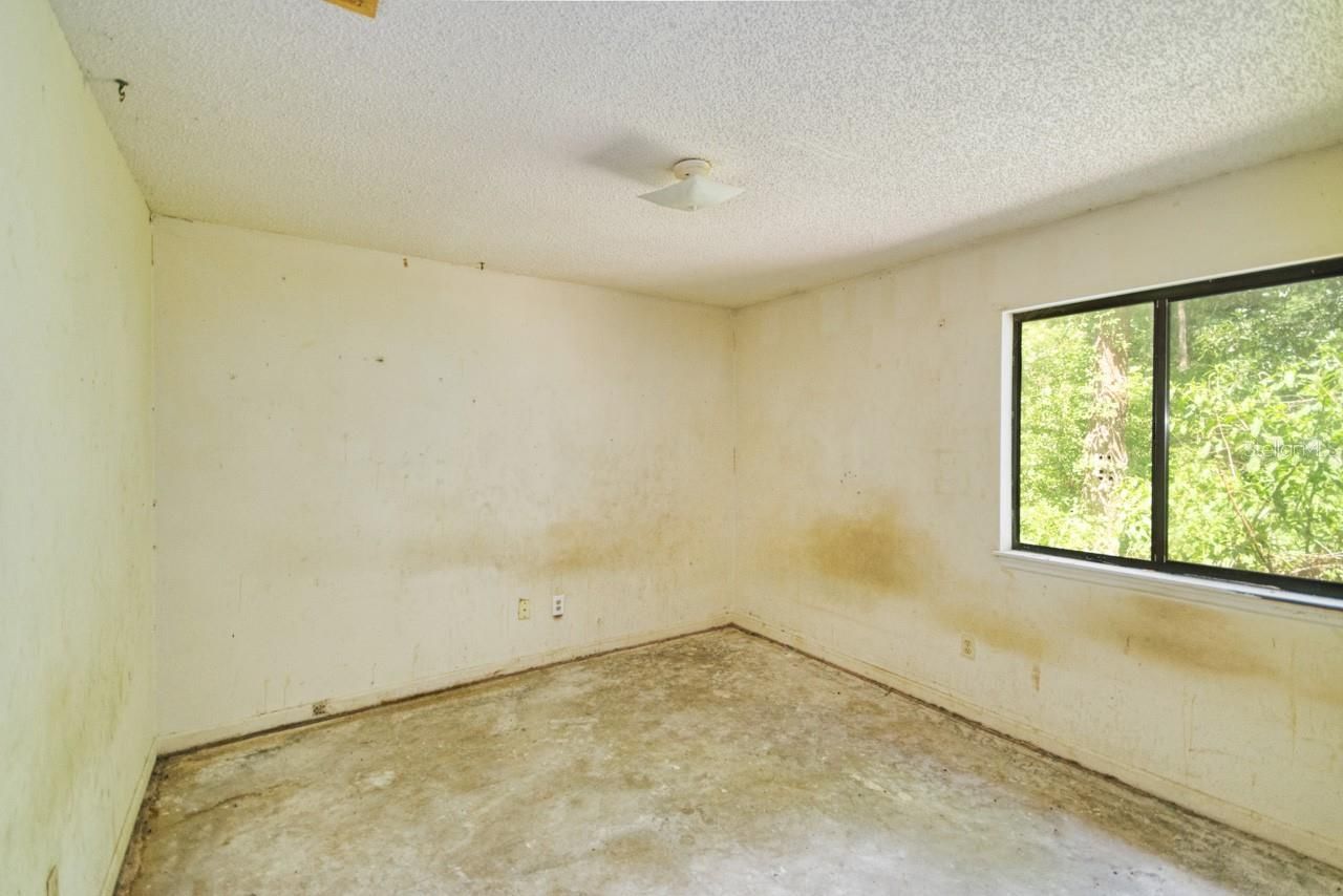 6728 Apollo Trail, Tallahassee, FL 32309 Photo