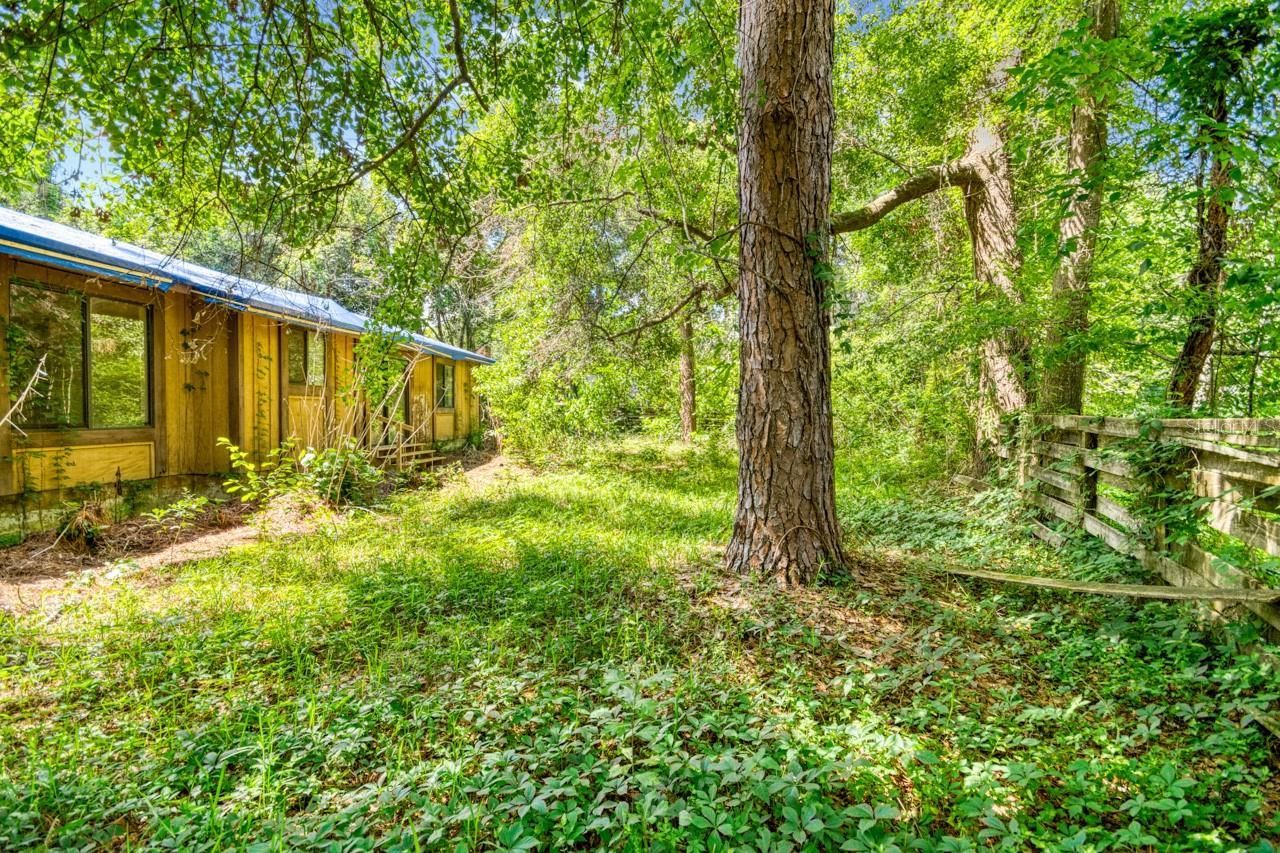 6728 Apollo Trail, Tallahassee, FL 32309 Photo
