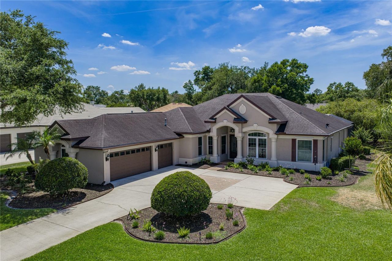 6105 Audubon Manor Boulevard, Lithia, FL 33547 Main Photo