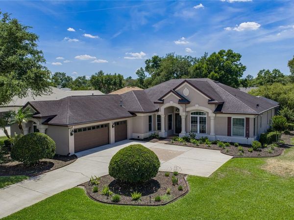6105 AUDUBON MANOR BOULEVARD, LITHIA, FL 33547