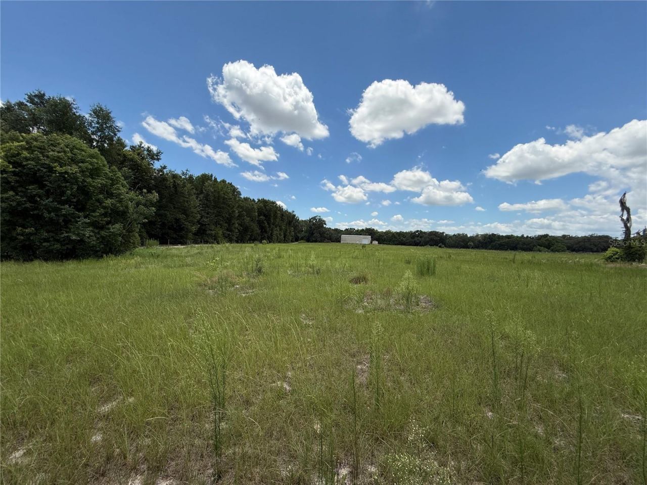 Se Sunset Harbor Road, Weirsdale, FL 32195 Photo
