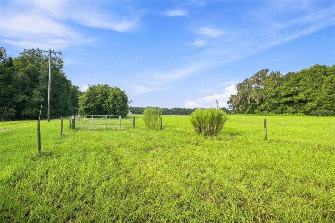 Se Sunset Harbor Road, Weirsdale, FL 32195 Photo