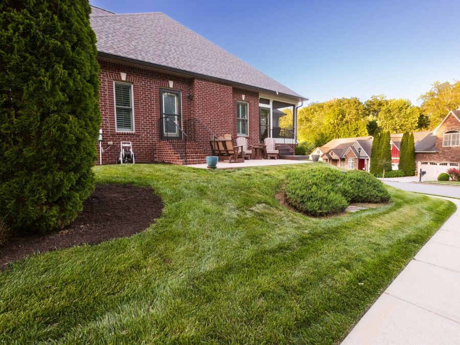 Property Image 62