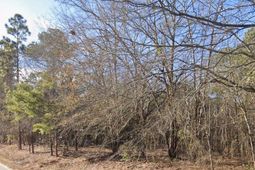 151 Shelton Road  photo 4