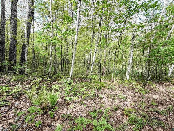 Lot 2 Peterson Rd, Wascott, WI 54859