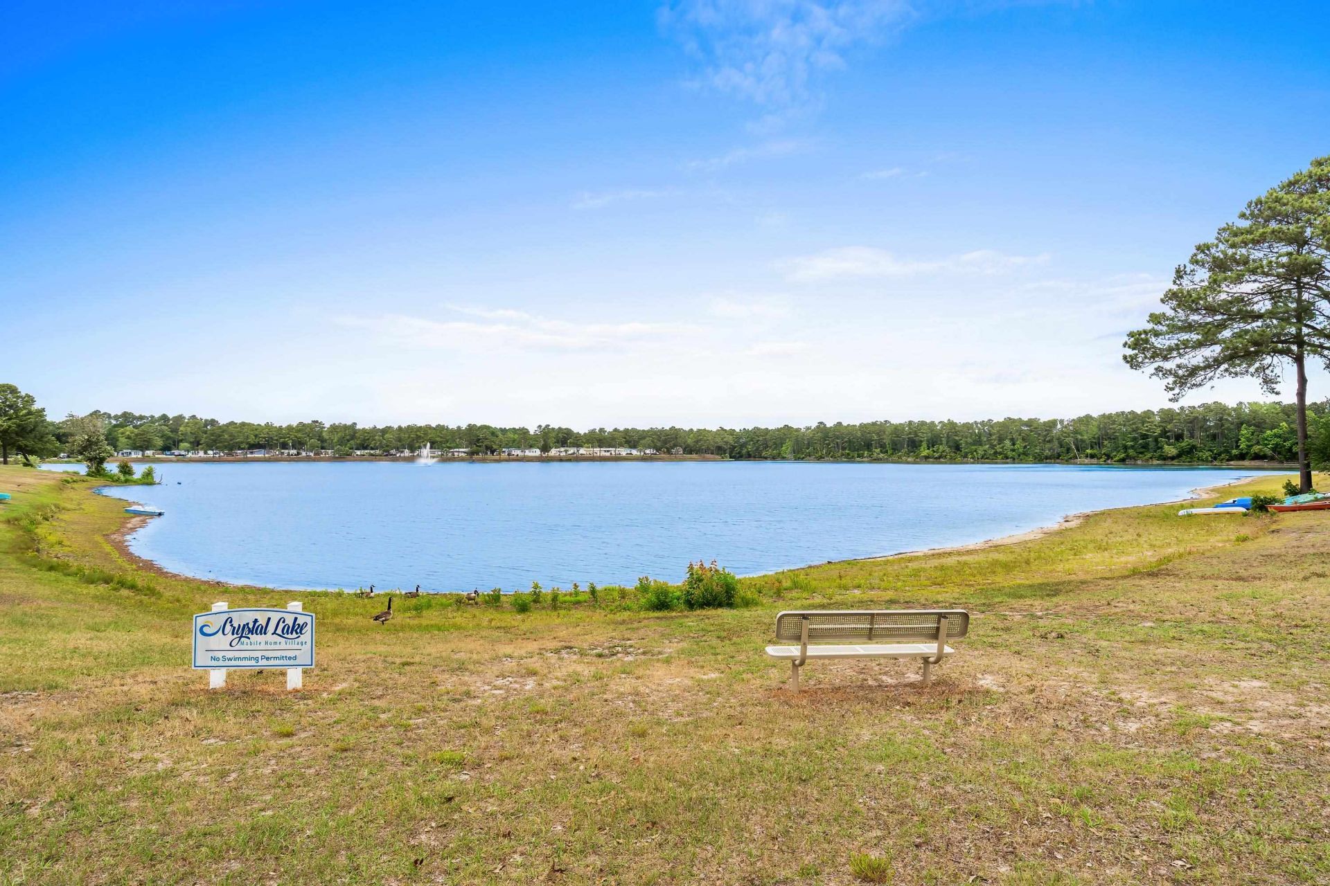 1529 Virgo Ln. Photo 40