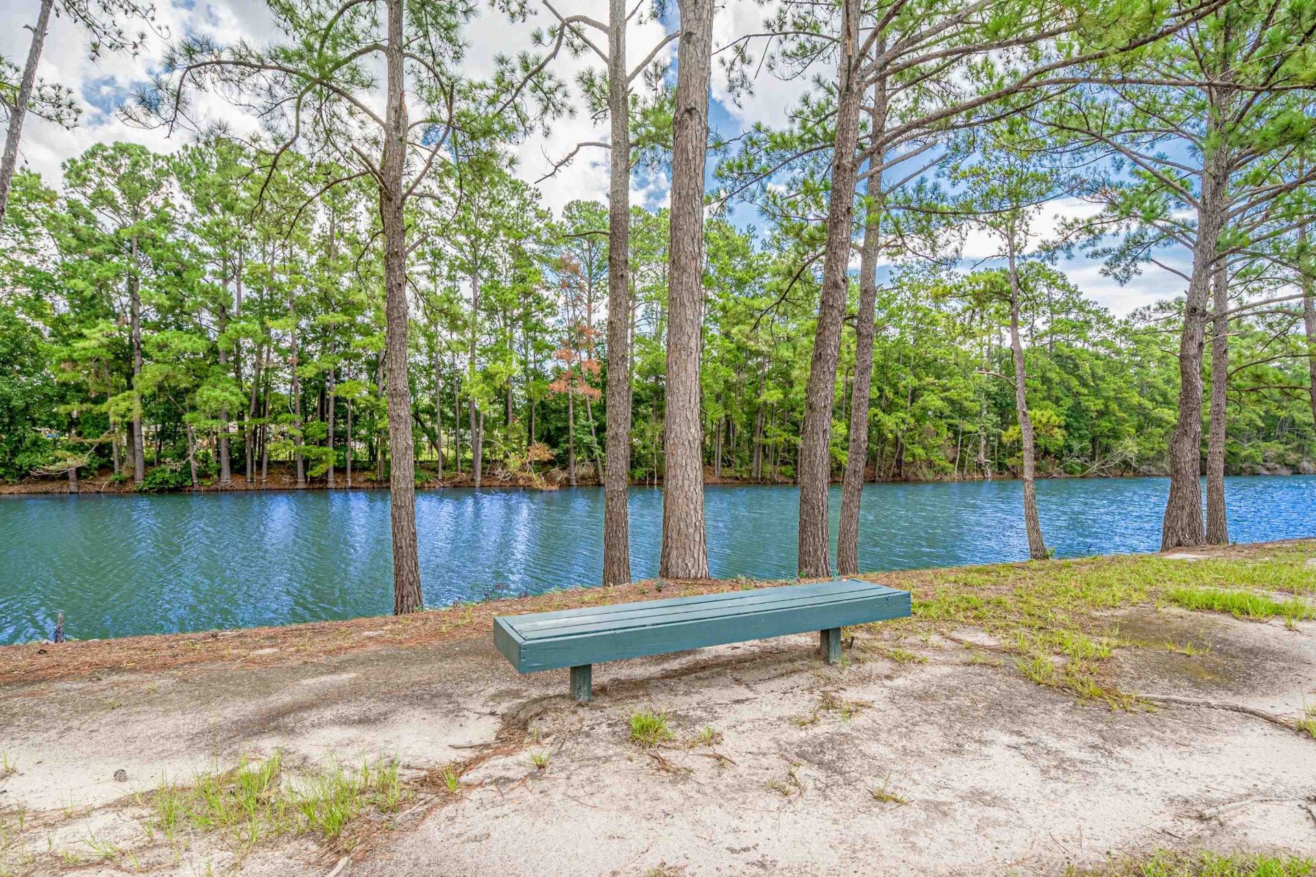 1529 Virgo Ln. Photo 51