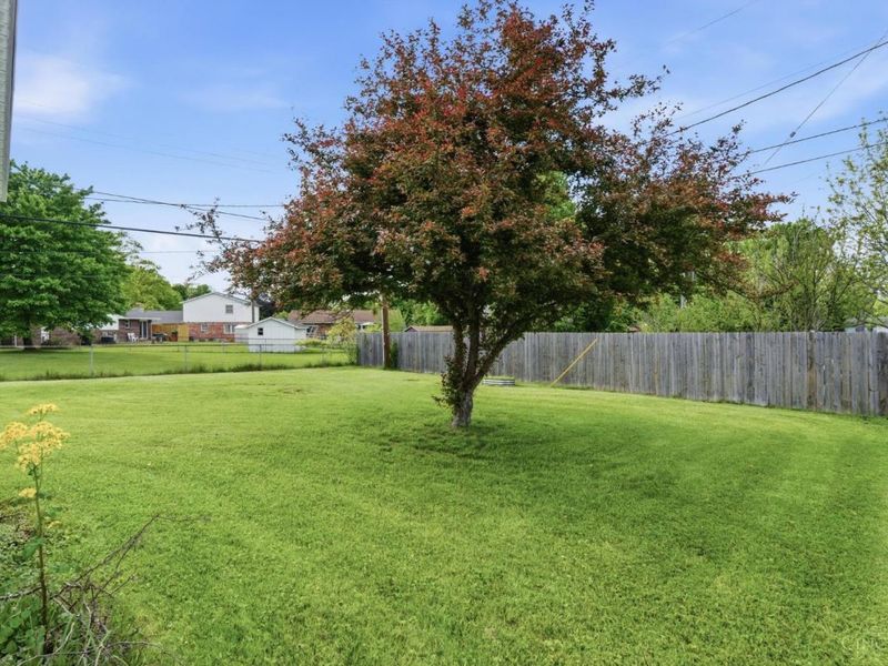 509 Randolph, Wilmington, OH 45177 Photo 5