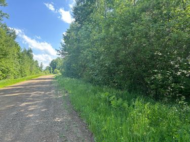 TBD 250th Street , Aitkin, MN 56431
