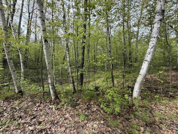 Lot 3 Peterson Rd, Wascott, WI 54859